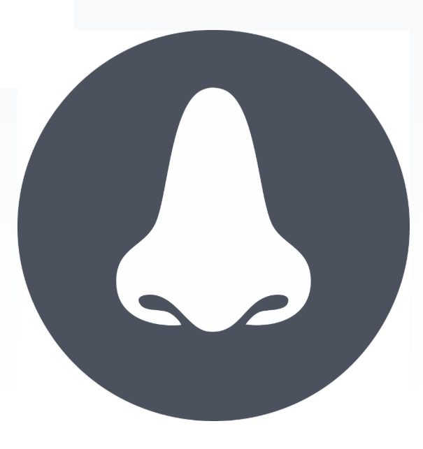 Nose picture for dr akhtar ENT and Rhinoplasty